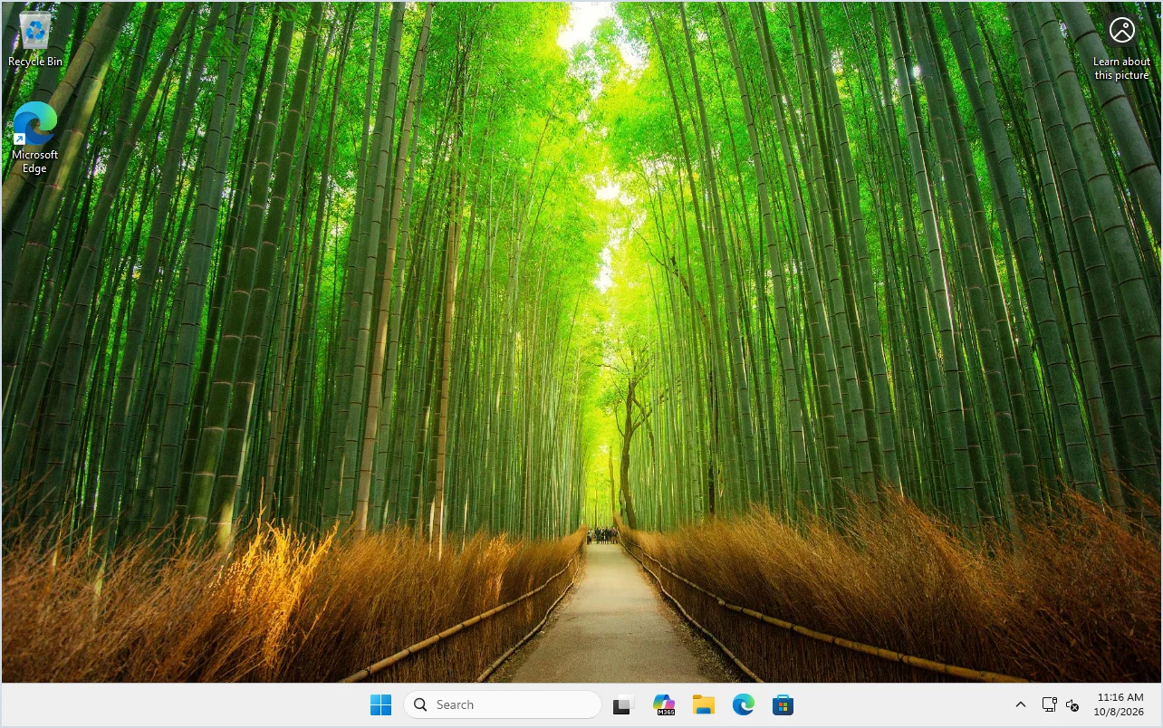 Sandbox VM desktop 20 seconds after launch showing no window, prompt, or error.
